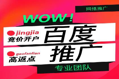 某品牌SEM广告投放的ROI提升案例